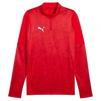 Джемпер тренировочный Puma teamCUP Training 1/4 Zip Top
