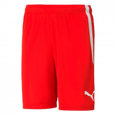 Шорты игровые Puma teamLIGA Shorts Шорты игровые Puma teamLIGA Shorts