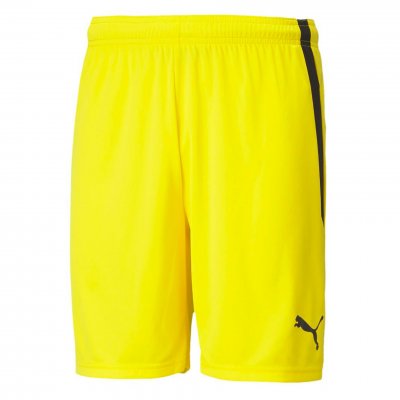 Шорты игровые Puma teamLIGA Shorts Шорты игровые Puma teamLIGA Shorts