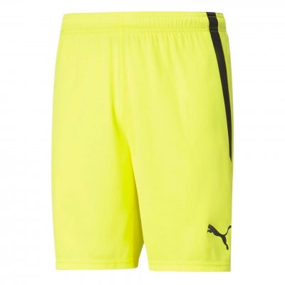 Шорты игровые Puma teamLIGA Shorts Шорты игровые Puma teamLIGA Shorts