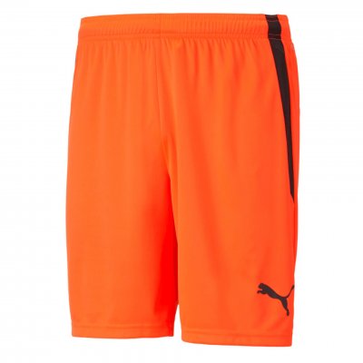 Шорты игровые Puma teamLIGA Shorts Шорты игровые Puma teamLIGA Shorts