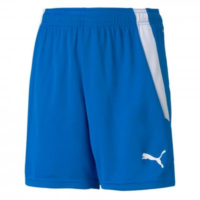 Шорты игровые детские Puma teamLIGA Shorts