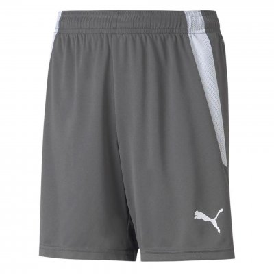 Шорты игровые детские Puma teamLIGA Shorts