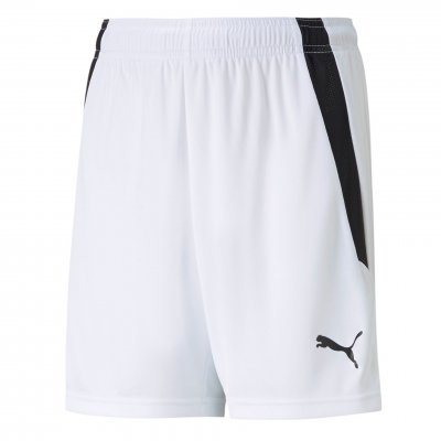 Шорты игровые детские Puma teamLIGA Shorts