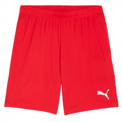 Шорты игровые Puma teamGOAL Shorts Шорты игровые Puma teamGOAL Shorts