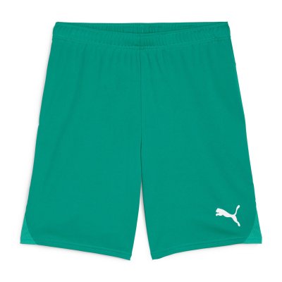 Шорты игровые Puma teamGOAL Shorts