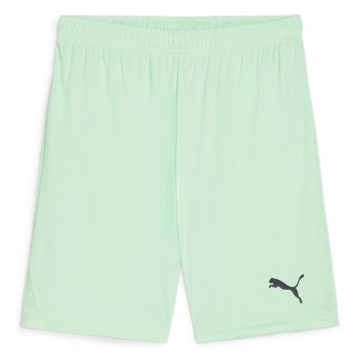 Шорты игровые Puma teamGOAL Shorts Шорты игровые Puma teamGOAL Shorts