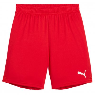 Шорты игровые детские Puma teamGOAL Shorts