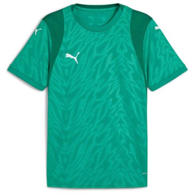 Майка игровая детская Puma teamCUP Jersey