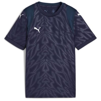 Майка игровая детская Puma teamCUP Jersey