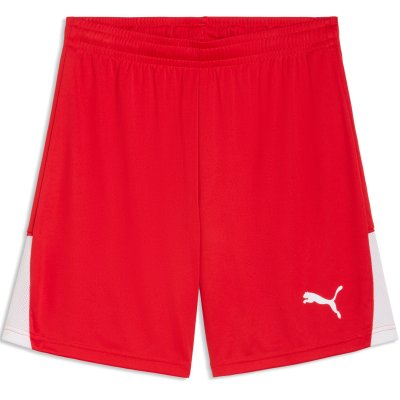 Шорты игровые Puma teamLIGA26 Shorts