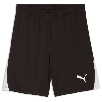 Шорты игровые Puma teamLIGA26 Shorts