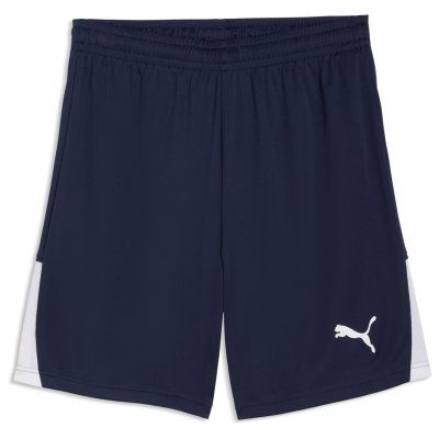 Шорты игровые Puma teamLIGA26 Shorts