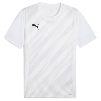 Майка игровая Puma teamGOAL Graphic Jersey