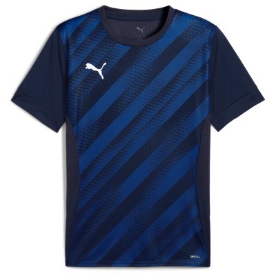 Майка игровая Puma teamGOAL Graphic Jersey